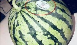 各类网红吃瓜,盘点娱乐圈那些鲜为人知的幕后故事